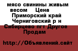 мясо свинины живым весом  › Цена ­ 140 - Приморский край, Черниговский р-н, Сибирцево пгт Другое » Продам   